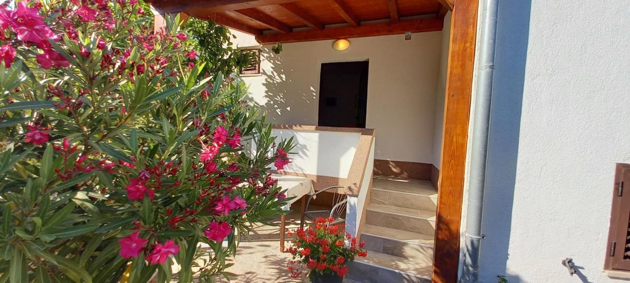 Eco Secluded Apartments Zabodarski Čunski 외부 사진