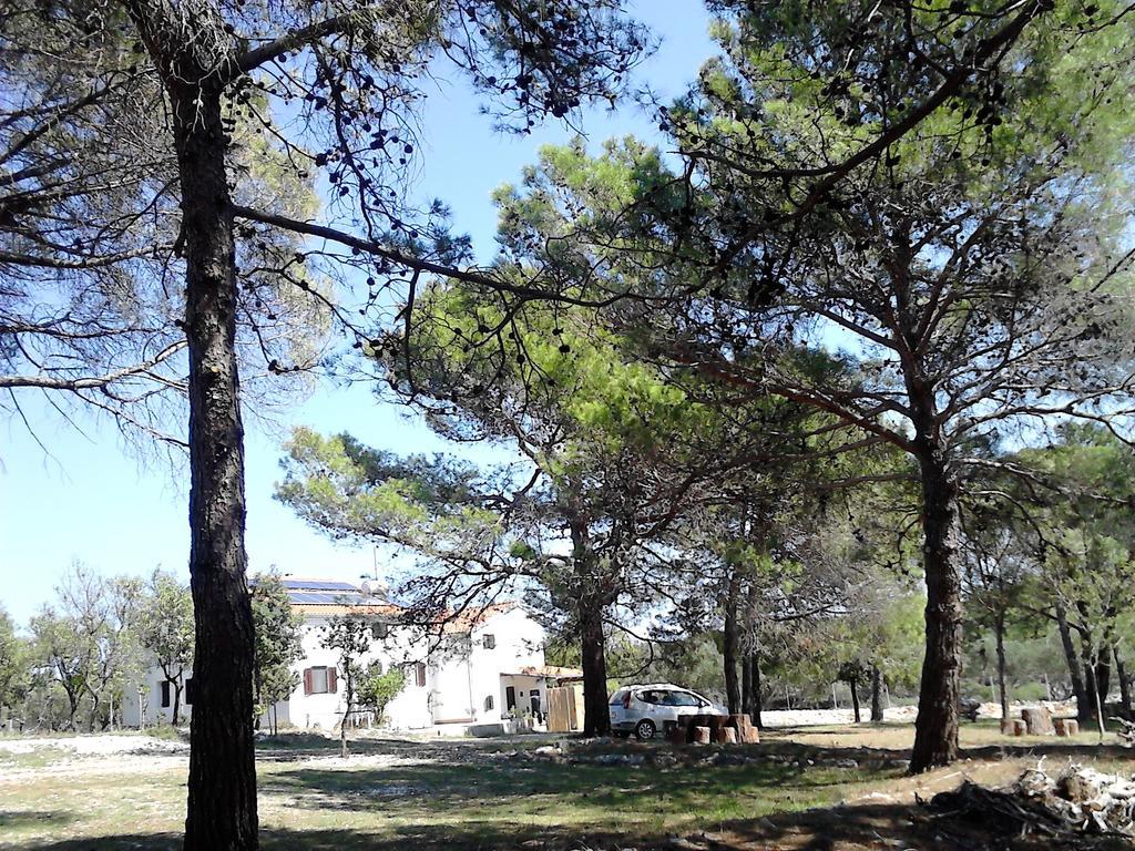 Eco Secluded Apartments Zabodarski Čunski 외부 사진