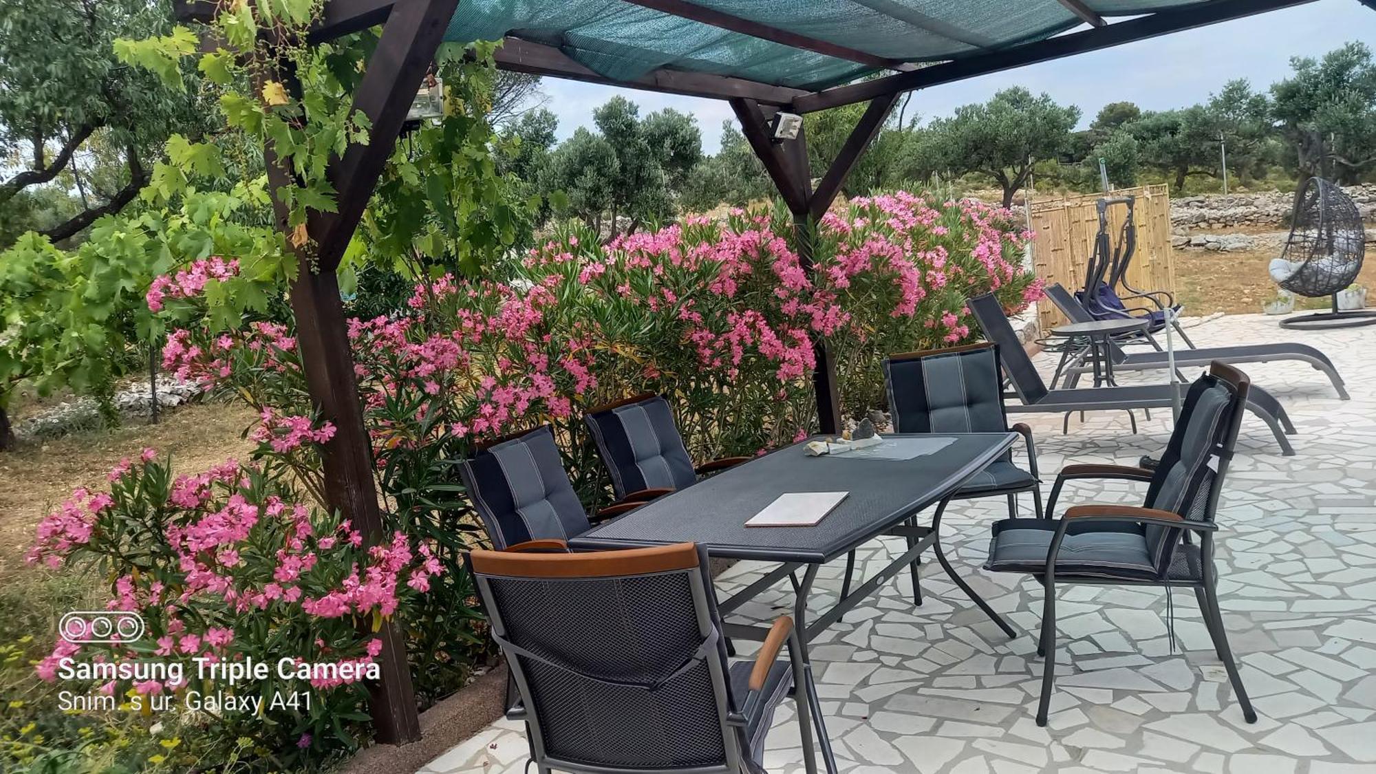 Eco Secluded Apartments Zabodarski Čunski 외부 사진