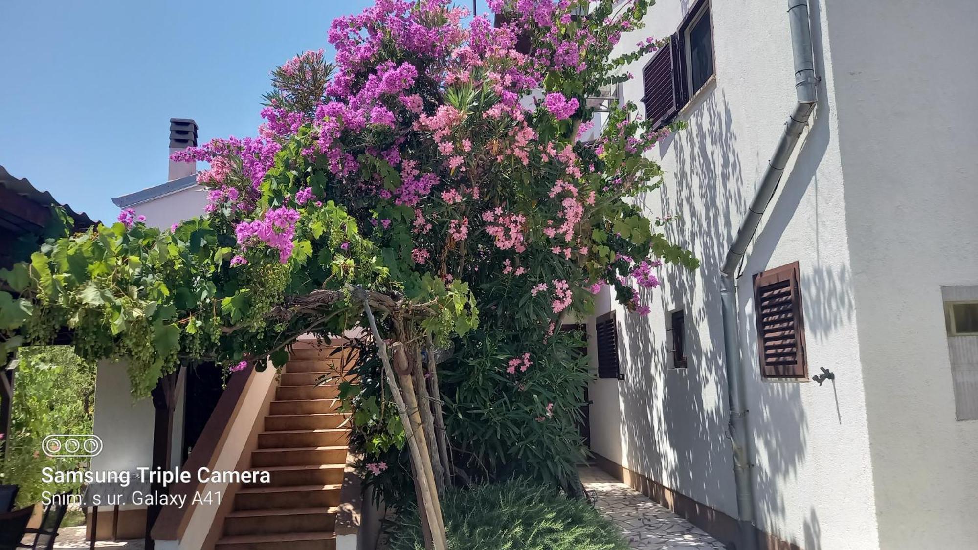 Eco Secluded Apartments Zabodarski Čunski 외부 사진
