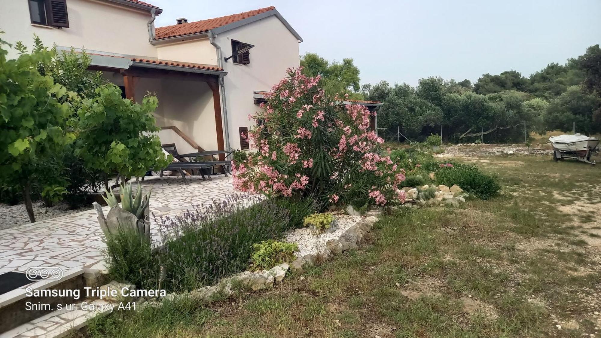 Eco Secluded Apartments Zabodarski Čunski 외부 사진