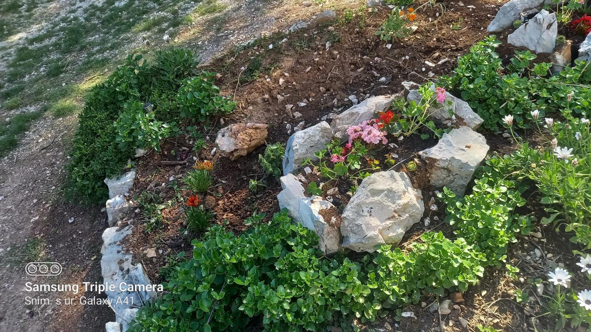 Eco Secluded Apartments Zabodarski Čunski 외부 사진