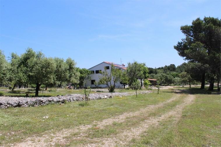Eco Secluded Apartments Zabodarski Čunski 외부 사진