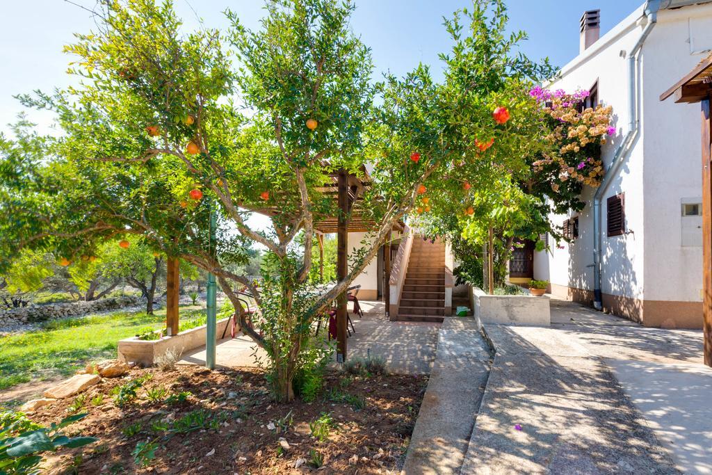 Eco Secluded Apartments Zabodarski Čunski 외부 사진