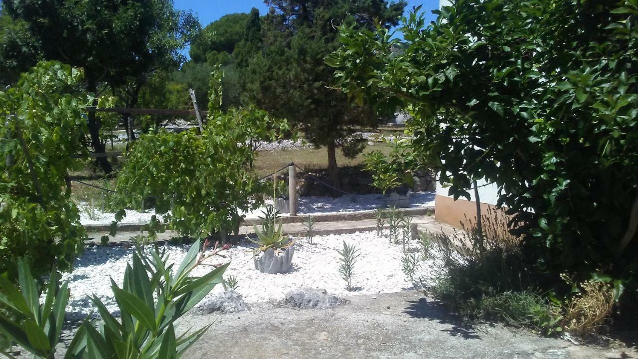Eco Secluded Apartments Zabodarski Čunski 외부 사진
